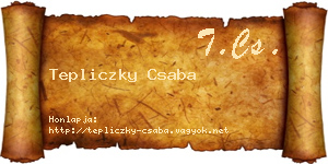 Tepliczky Csaba névjegykártya